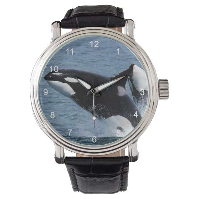 Montre Killer whales (devant)