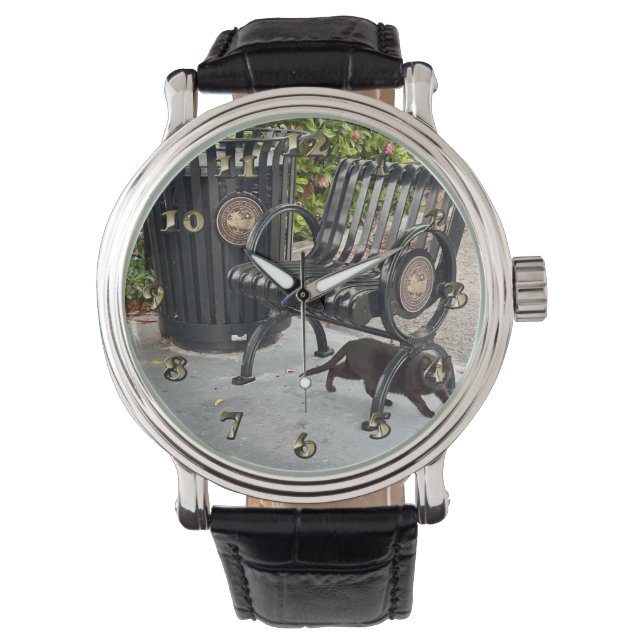 Montre Kitty dans le parc (devant)