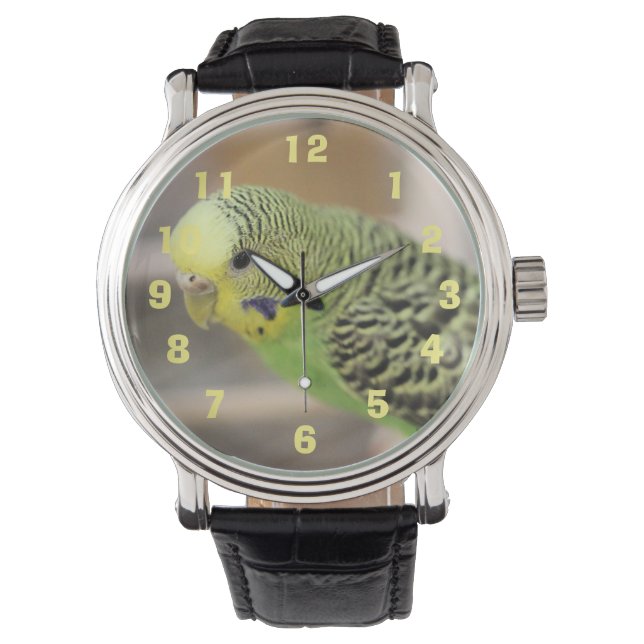 Montre Kiwi (devant)