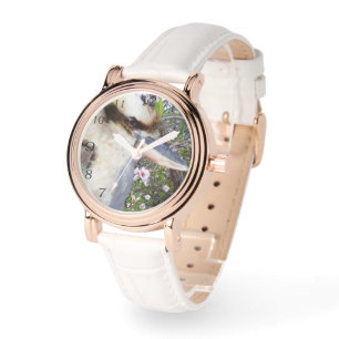 Montre Kookaburra à côté d'un arbre en fleurs,