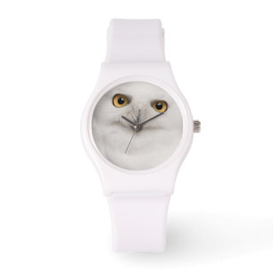Montre La Chouette des neiges mâles (Bubo scandiacus) est