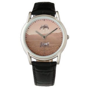 Montre La Persévérance Arrive En Toute Sécurité Sur Mars.