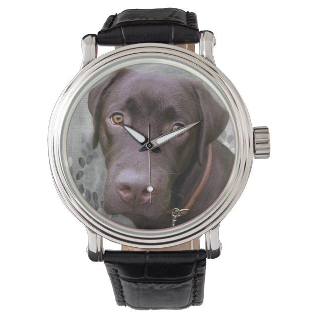 Montre Labrador Jimmy. (devant)