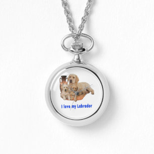 Montre Labrador Retriever