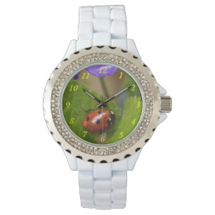 Montre Ladybug sur les fleurs de violet doux