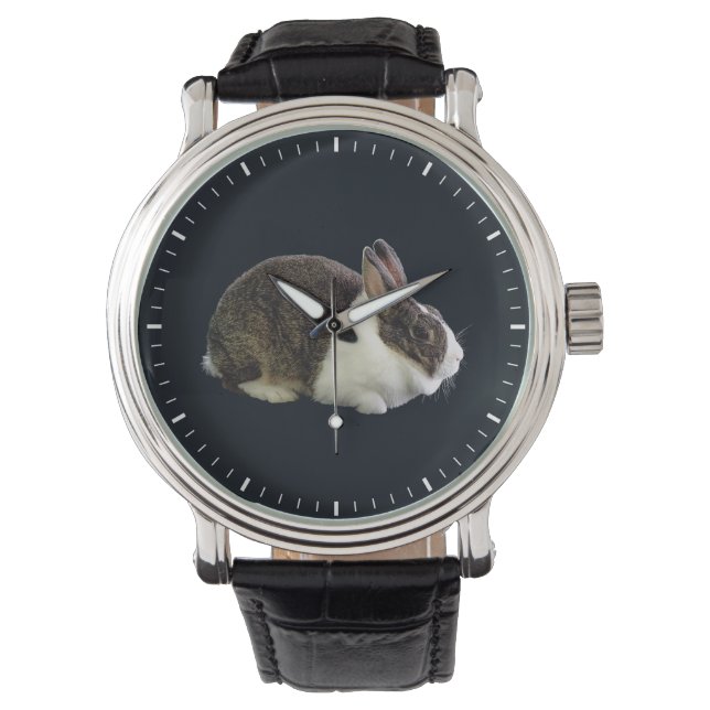 Montre Lapin néerlandais Brown et blanc (devant)