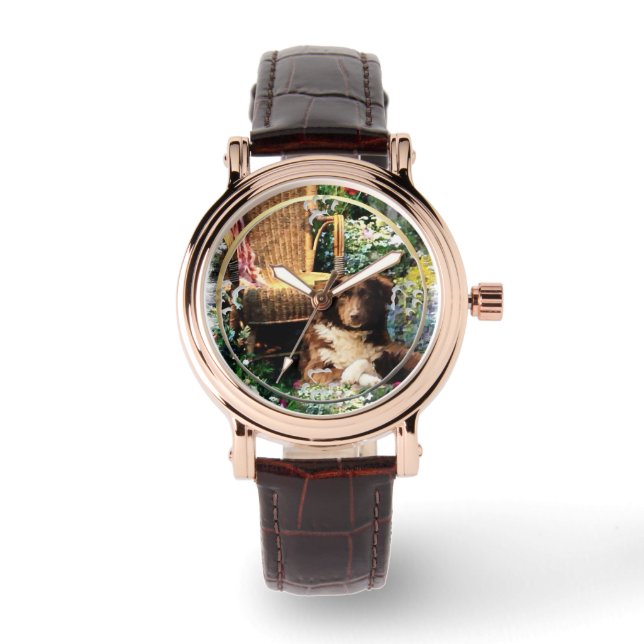 Montre L'art berger australien (Recto)