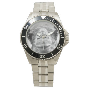 Montre Le chameau noir et blanc embrasse la