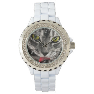 Montre Le chat lèchent