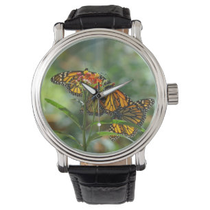 Montre Le concepteur observe le jardin de papillons de