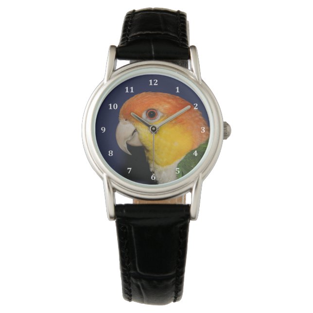 Montre Le perroquet caïque coloré (devant)