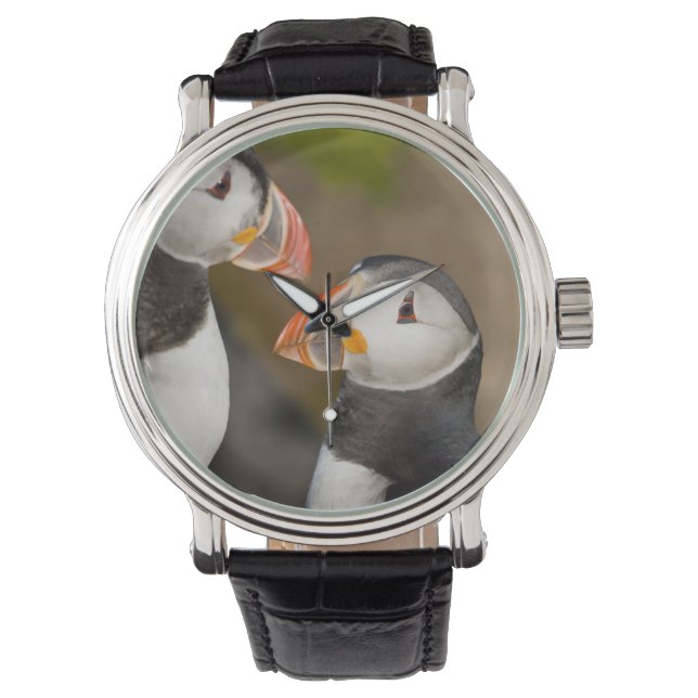 Montre Le Puffin Atlantique (devant)