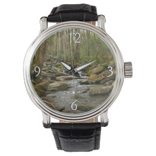 Montre Le ruisseau Le Conte dans les montagnes Great Smok