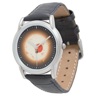Montre Le système Kepler-16.