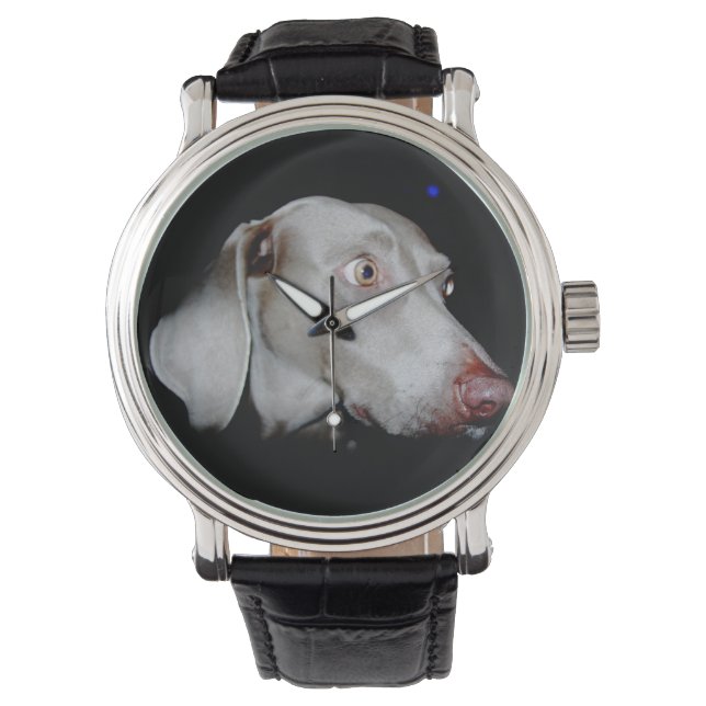 Montre Le Weimaraner (devant)