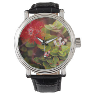 Montre Lehua fleurit dans les volcans d'Hawaï