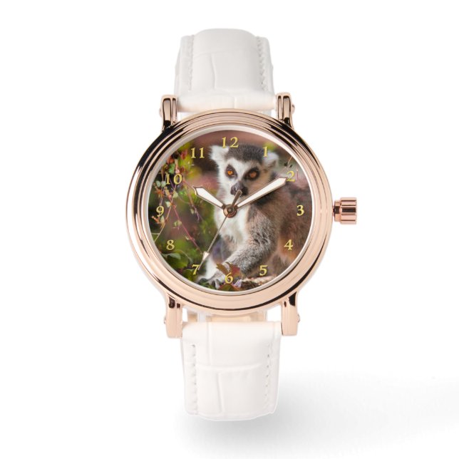 MONTRE LEMUR LEISURE (Recto)