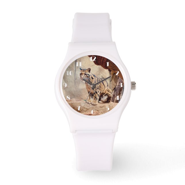 Montre léopard nébuleux image nature faune exotique (Recto)