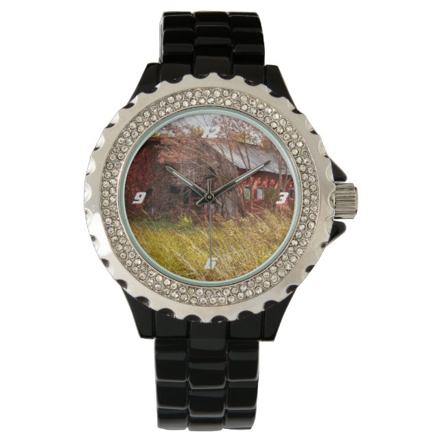 Montre Les beaux jours de l'agriculture (devant)