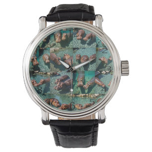 Montre Les hippopotames en jeu : Un paradis d'étang