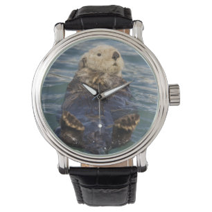 Montre Les loutres de mer jouent sur les icebergs à Surpr