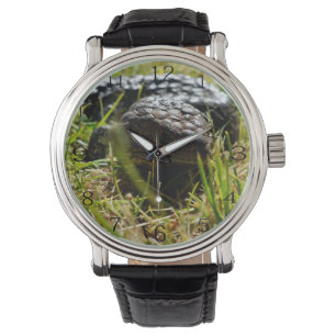 Montre Lézard australien (Stumpy)