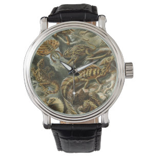 Montre Lézards par Ernst Haeckel Lacertilia Animal Vintag