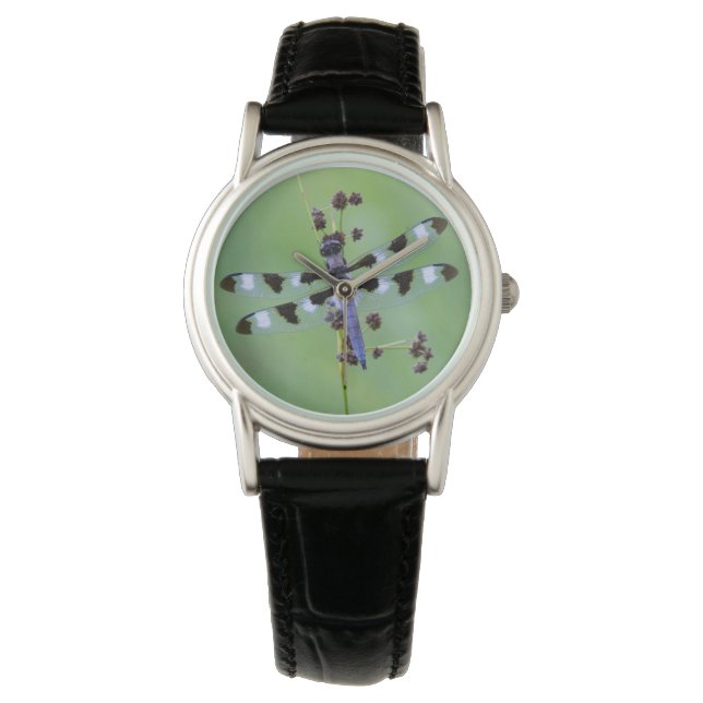Montre Libellule perchée sur l'herbe, Canada (devant)