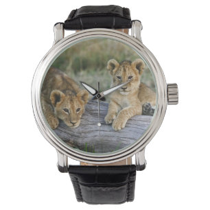 Montre Lionceaux sur rondin