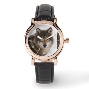 Montre Loup gris d'Europe