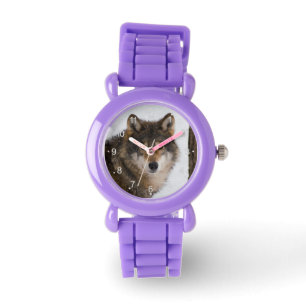 Montre Loup gris d'Europe