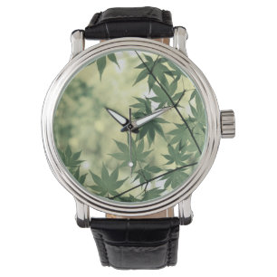 Montre Lumière du soleil à travers les Feuilles de l'érab