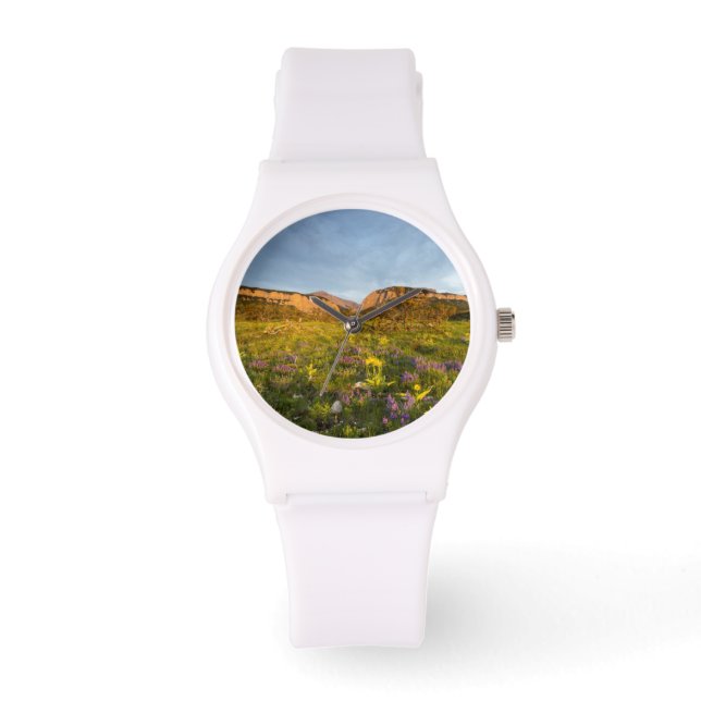 Montre Lumières du lever du soleil Blackleaf Canyon (Recto)