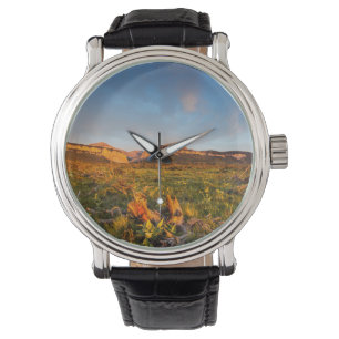 Montre Lumières du lever du soleil Blackleaf Canyon 2