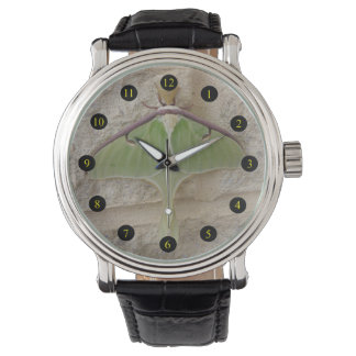 Montre Luna Moth
