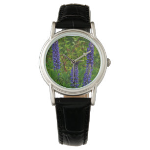 Montre Lupines