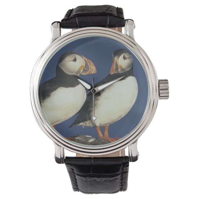 Montre Macareux atlantique (devant)