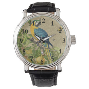 Montre Macaw Blue Jaune Tropical Jungle Antique