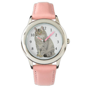 Montre Maine Coon