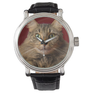 Montre Maine Coon pour Noël avec collectionneur