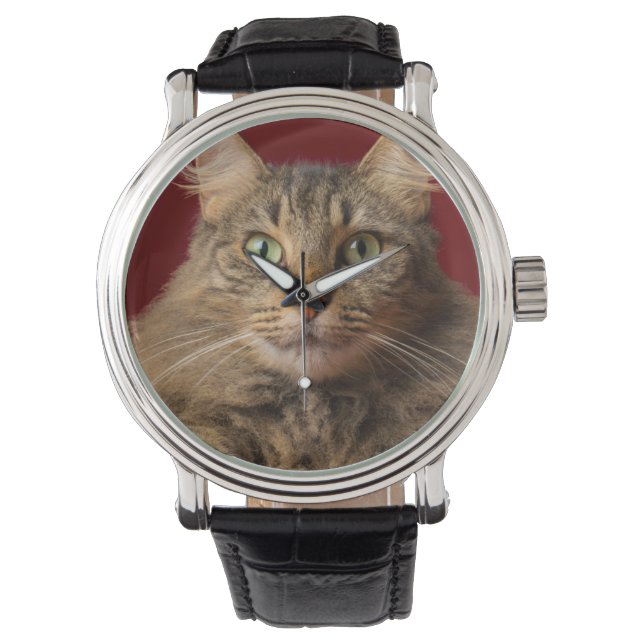 Montre Maine Coon pour Noël avec collectionneur (devant)