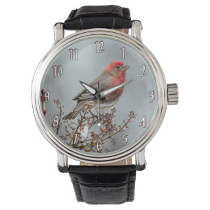 Montre Maison Finch en Neige - Photo originale