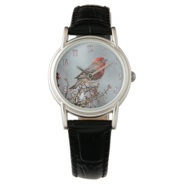 Montre Maison Finch en Neige - Photo originale (devant)