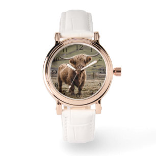 Montre Majesté poilue : la vache Highland brune laineuse
