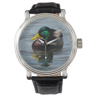 Montre Mallard