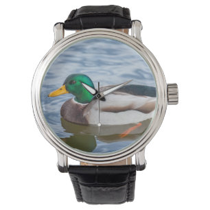 Montre Mallard Duck