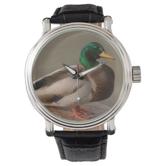 Montre Mallard Duck Drake Watch