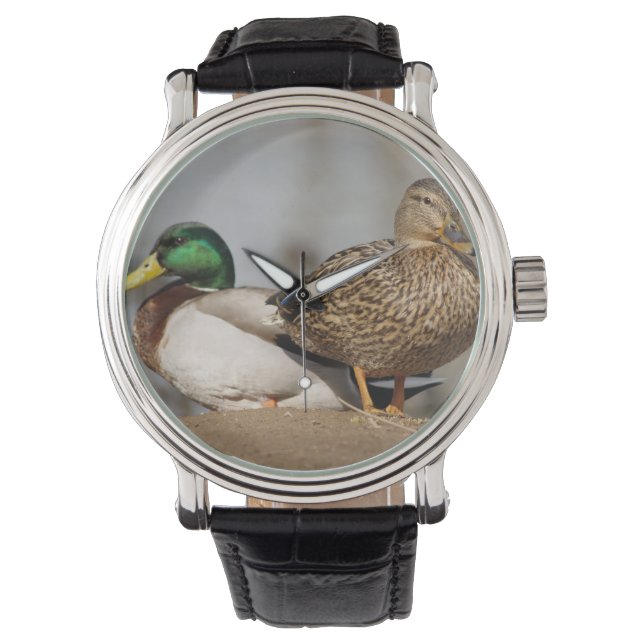 Montre Mallard Ducks (devant)