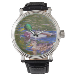 Montre Mallard Ducks