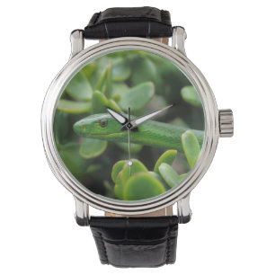 Montre Mamba vert de l'Est (Dendroaspis Angusticeps)